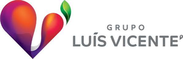 Luís Vicente SA